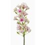 Phlox artificiel ALSA, blanc-rose, 35cm, Ø5cm