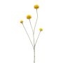 Branche artificielle Craspedia RILADA, jaune, 70cm