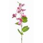 Branche décorative de bauhinia DOWLER, rose, 85 cm