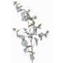 Branche d'eucalyptus artificielle ILMO, gris-vert, 85cm
