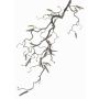 Branche de noisetier artificielle XANCHO, chatons, brun, 65cm, Ø0,5cm
