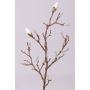 Branche de magnolia artificielle ASANI, blanc, 70cm
