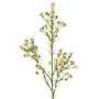 Branche décorative de fleur de cire FRINDALS, crème, 65 cm, Ø 1,5-2 cm