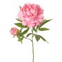 Pivoine artificielle WARDUAN, collection Eco, rose, 65 cm, Ø 15 cm
