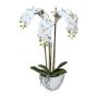 Orchidée Phalaenopsis artificielle LARKEN dans un plat en céramique, racines, blanche, 50 cm