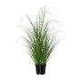 Herbe artificielle Roseau de Chine zébré FERVA, vert-jaune, 60cm