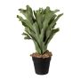 Plante artificielle fougère cornue FROHEL, pot décoratif, verte, 45 cm