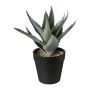 Plante succulente artificielle Aloe Vera BLORN en pot décoratif, vert, 20cm