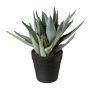 Plante succulente artificielle Aloe Vera BLORN en pot décoratif, vert, 23cm