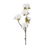 Branche artificielle de coton GROVEL avec des fruits, blanc, 45cm