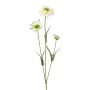 Branche décorative Scabiosa ATLENTO, blanc, 65cm