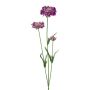 Branche décorative Scabiosa ATLENTO, violet, 65cm