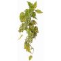 Plante artificielle Bégonia palmata OANFIR, tige, retombante, verte, 90cm