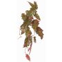 Plante artificielle Bégonia palmata OANFIR, tige, suspendue, rose-vert, 90cm