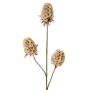 Branche artificielle d'œillet barbu MARDUEN, beige, 75 cm, Ø 5 cm