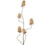 Branche artificielle de clou de girofle MARDUEN, beige, 115 cm, Ø 5 cm