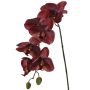 Orchidée Phalaenopsis artificielle LARDUEN, rouge bordeaux, 75 cm, Ø 10 cm