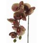 Orchidée Phalaenopsis artificielle LARDUEN, violet-vert, 75cm, Ø10cm