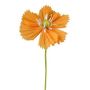 Fleur décorative Cosmos WENFRIN en papier, abricot, 45cm