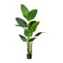 Plante artificielle Strelitzie DREVORA, verte, 160 cm