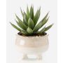 Plante succulente artificielle « dragon-agave » NORSHU dans un pot décoratif, vert-rouge, 20 cm