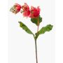 Fleur artificielle Medinilla NIVARD, corail, 110 cm