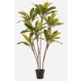 Plante artificielle Cordyline MEIKE, troncs artificiels, pot décoratif, vert, 160 cm