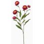 Branche décorative de fleur de paille SNAVIK, rose, 70 cm