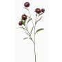 Branche décorative de fleur de paille SNAVIK, violette, 70 cm