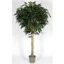 Longifolia artificiel YANIRA, tronc en bois véritable, vert, 300cm - Made in Italy