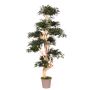 Arbre décoratif Érable du Japon SLAWIK, tronc en bois véritable, vert, 185cm - Made in Italy