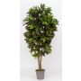 Croton artificiel KAJETANA, troncs naturels, multicolore, 175cm - Made in Italy