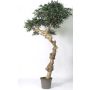 Olivier artificiel ROGELIO, tronc naturel, avec des fruits, 275cm, Ø160/180cm - Made in Italy