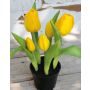 Tulipe en tissu CAITLYN en pot décoratif, jaune-vert, 25cm, Ø2-6cm