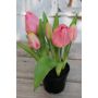 Tulipe en tissu CAITLYN en pot décoratif, rose-vert, 25cm, Ø2-6cm