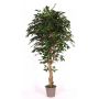 Ficus Benjamina artificiel YANEXY, troncs naturels, vert, 175cm - Made in Italy