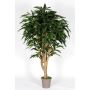 Longifolia décoratif RAFIKO, troncs naturels, vert, 175cm - Made in Italy