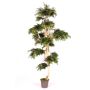 Arbre décoratif Érable du Japon AFANAS, tronc naturel, vert-rouge, 250cm - Made in Italy