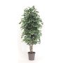 Ficus Benjamina décoratif KONRADE, troncs en bois véritable, vert-blanc, 125cm - Made in Italy