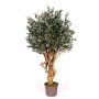 Olivier artificiel COTARIO, tronc en bois véritable, avec des fruits, 200cm - Made in Italy