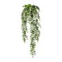 Suspension artificielle en eucalyptus ZANVOR, tige, verte, 80 cm