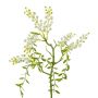Branche artificielle Mimosa KRAVEL avec des bourgeons, suspendu, blanc, 60cm