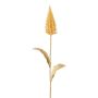 Herbe artificielle « queue de lapin » GLINOR, couleur miel, 55 cm