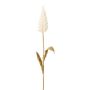 Herbe artificielle « queue de lapin » GLINOR, crème, 55 cm