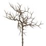 Branche artificielle Épine du Christ SPROLI, brun, 45cm