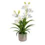 Fleur en plastique Orchidée Cymbidium CANFOL, cache-pot en mélamine, racines, blanc, 60cm