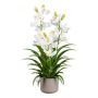 Fleur en plastique Orchidée Cymbidium CANFOL, cache-pot en mélamine, racines, blanc, 70cm