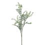 Branche décorative de séneçon cinéraire KRANVE avec des fleurs, gris-vert, 60cm