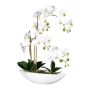 Orchidée Phalaenopsis artificielle JELTRON, coupe en céramique, racines, blanc, 60cm