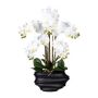 Orchidée Phalaenopsis artificielle ZALBROK, vase décoratif noir, racines, blanc, 75cm